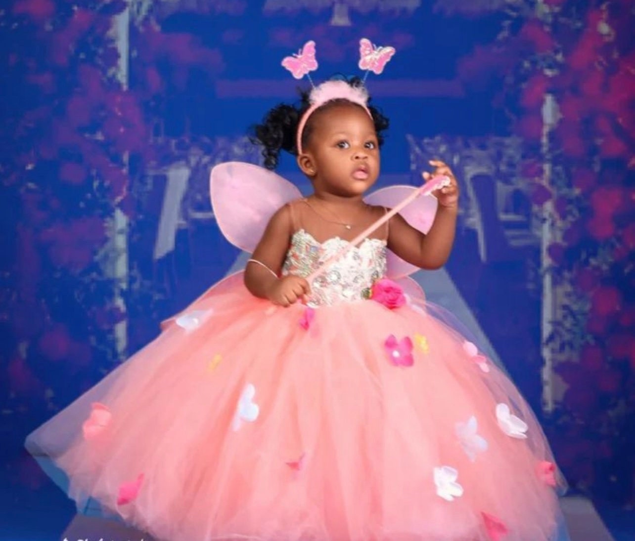 Beautiful Princess Baby Girl Birthday Dress| Flower Girl Dress| Fairytale Dress| Kids BallgownBlack History
